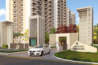 Ashiana Mulberry Blossom